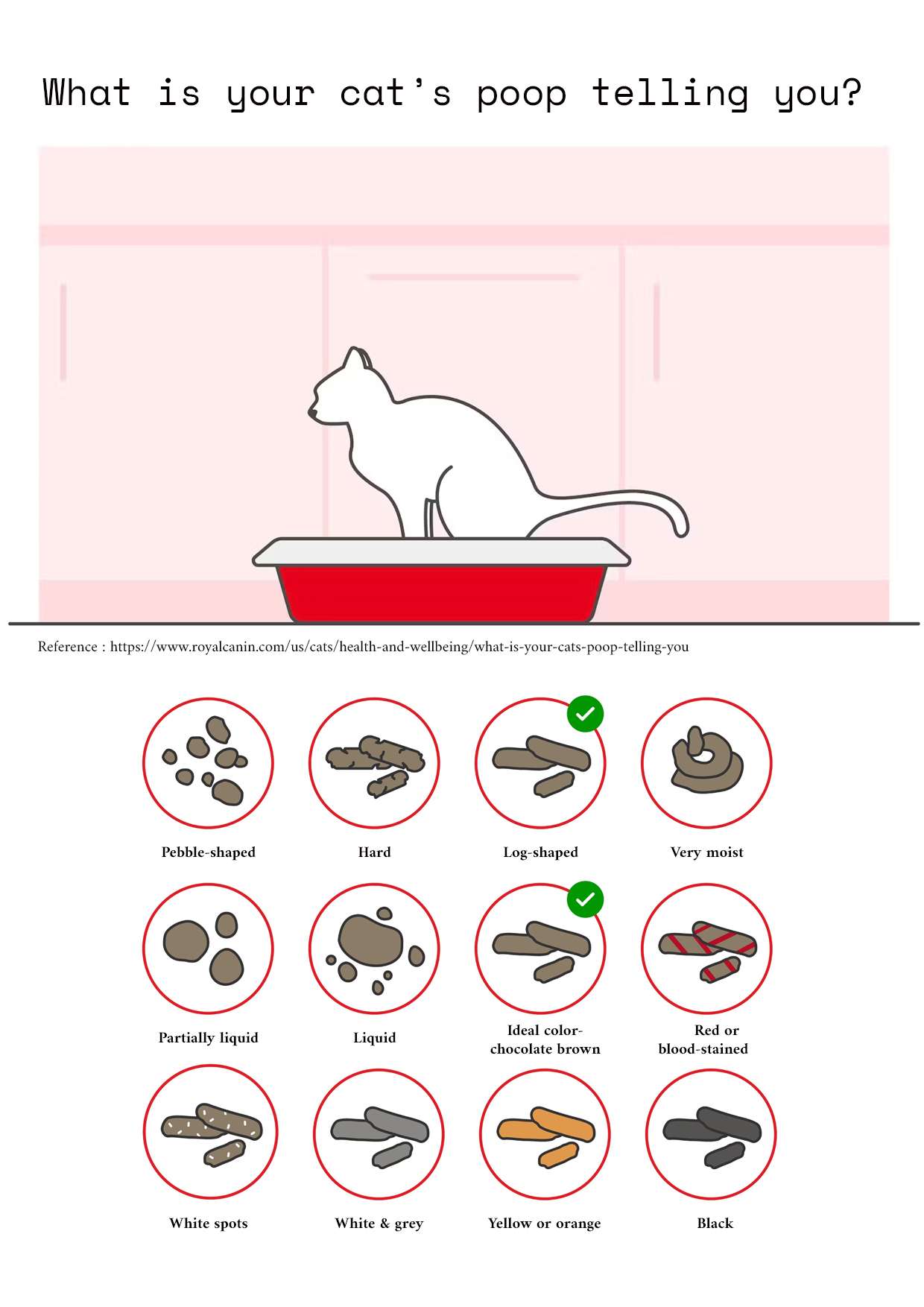 Cat waste condition guide illustrated and arranged by Anna Li, with a credited Royal Canin reference image at the top